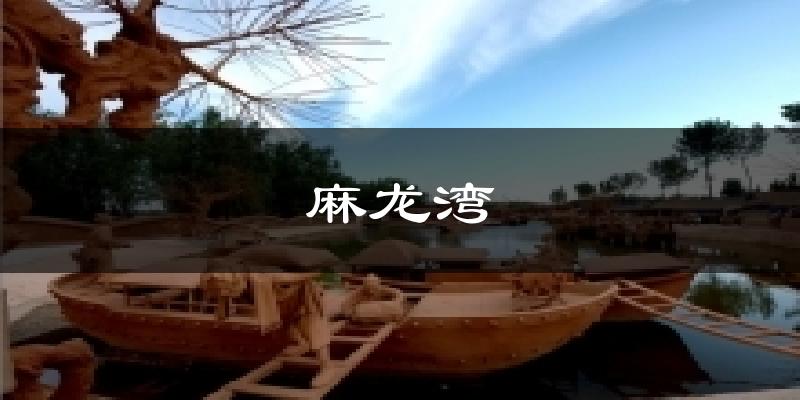 麻龙湾今日天气