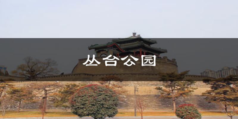 丛台公园今日天气