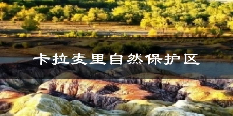 卡拉麦里自然保护区气温