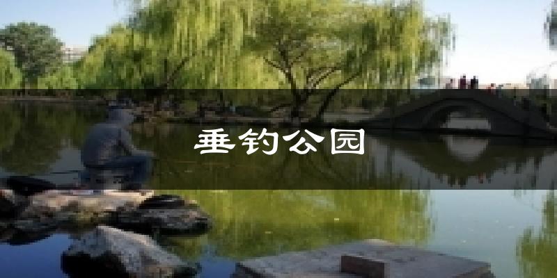 垂钓公园气温