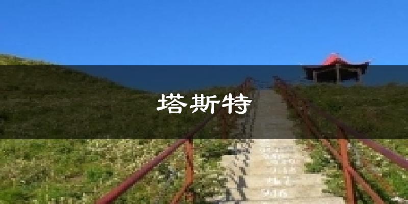 塔斯特气温