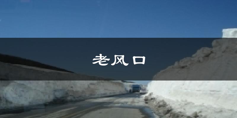 老风口今日天气